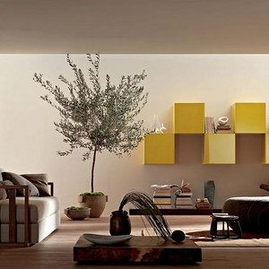 北京裝修建材賽思能 品質與選擇的完美平衡